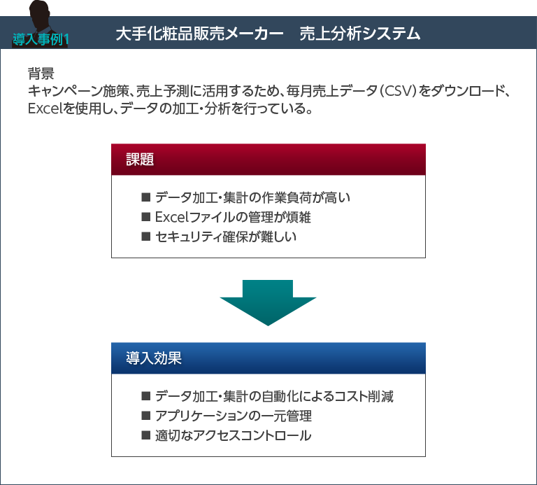 大手化粧品販売メーカー　売上分析システム